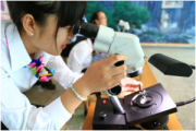 云南旅游职业学院开展“珠宝文化节”活动